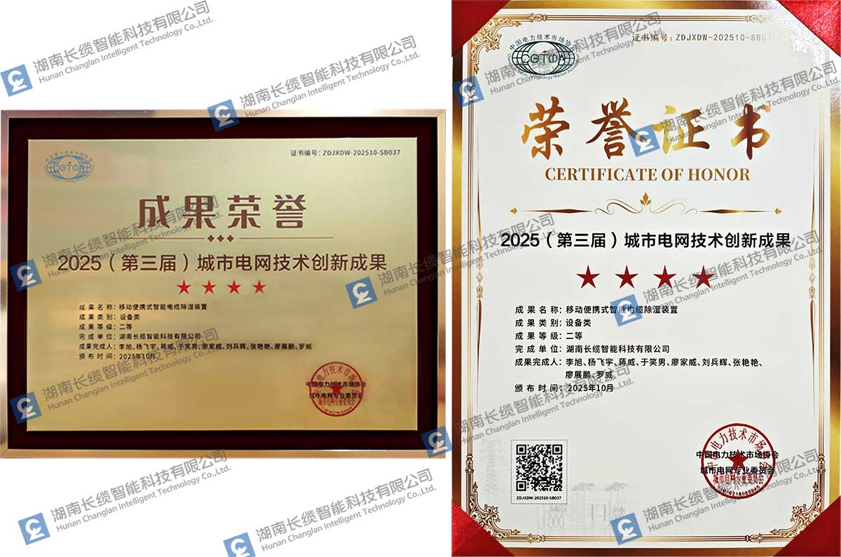 长缆智能闪耀城市电网峰会,双项创新成果斩获三大权威奖项奖牌匾