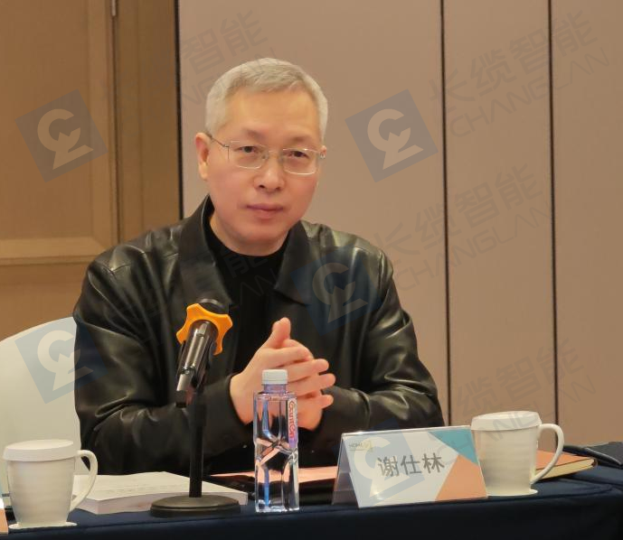 长缆科技集团总裁谢仕林代表项目单位致辞